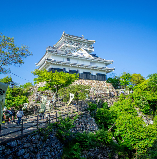 Photo:Gifu Castle