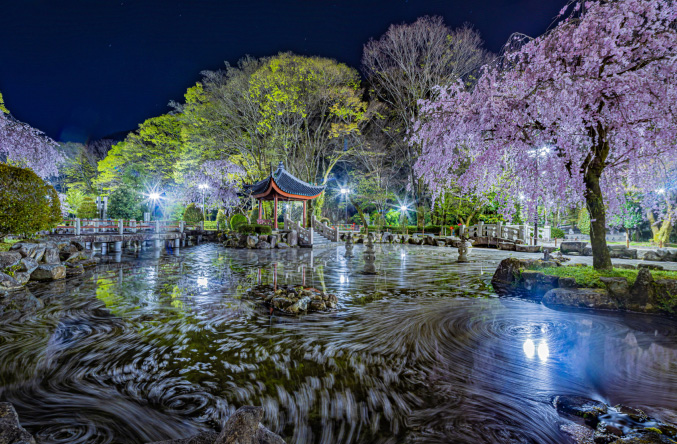 Photo:Gifu Park