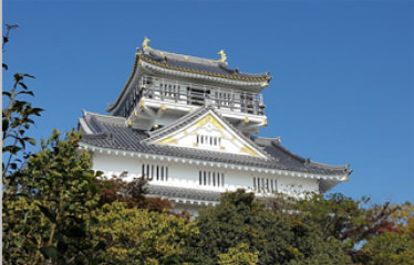 Gifu Castle