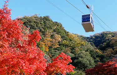 Kinkazan Ropeway